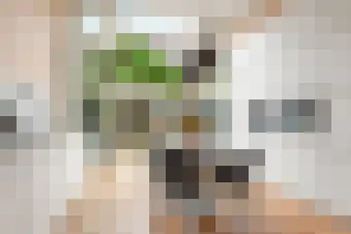 Eerste Jan van der Heijdenstraat 41 A Amsterdam thumbnail 9