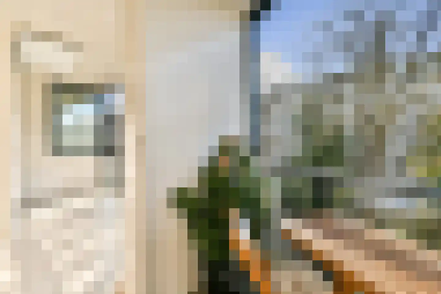 Eerste Jan van der Heijdenstraat 42 4A Amsterdam thumbnail 14