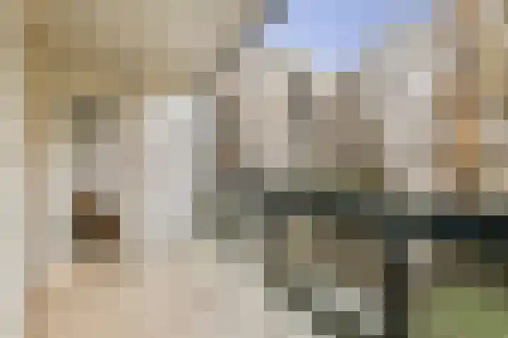 Eerste Jan van der Heijdenstraat 46 3A Amsterdam thumbnail 13