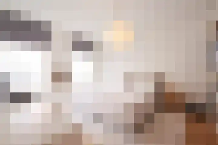 Eerste Jan van der Heijdenstraat 48 2A Amsterdam thumbnail 4