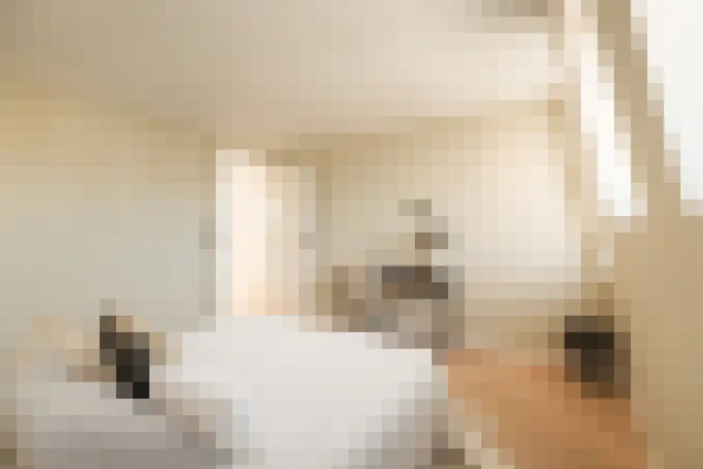 Eerste Jan van der Heijdenstraat 78 B 3 Amsterdam thumbnail 24