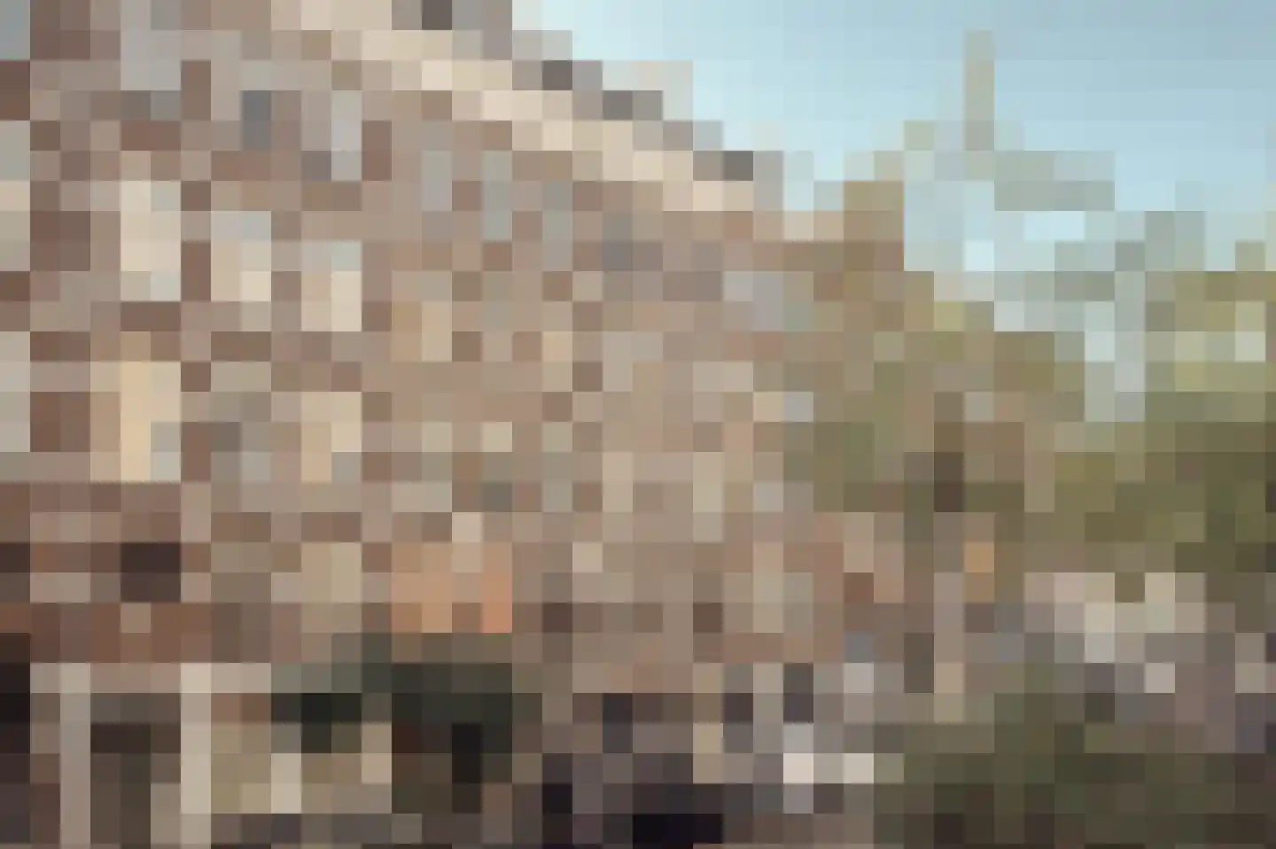 Eerste Jan van der Heijdenstraat 94 3 Amsterdam thumbnail 7
