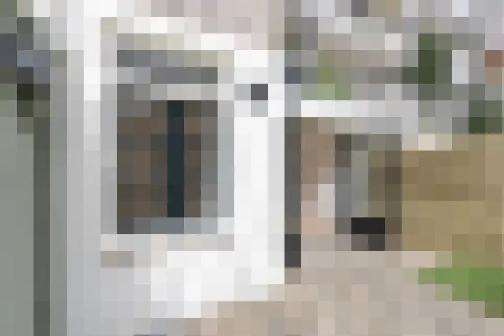 Eerste Jan van der Heijdenstraat 94 H Amsterdam thumbnail 6