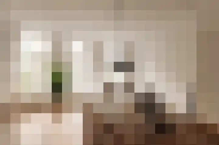 Eerste Jan van der Heijdenstraat 98 2 Amsterdam thumbnail 10