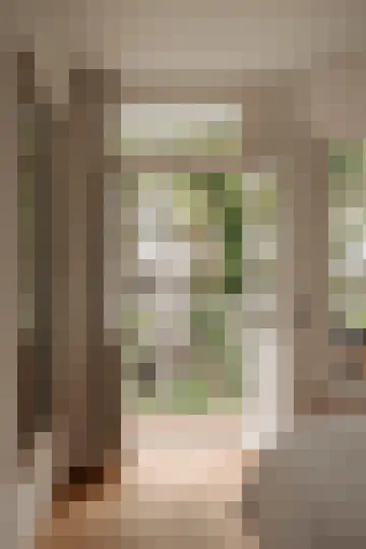 Eerste Jan van der Heijdenstraat 98 2 Amsterdam thumbnail 17
