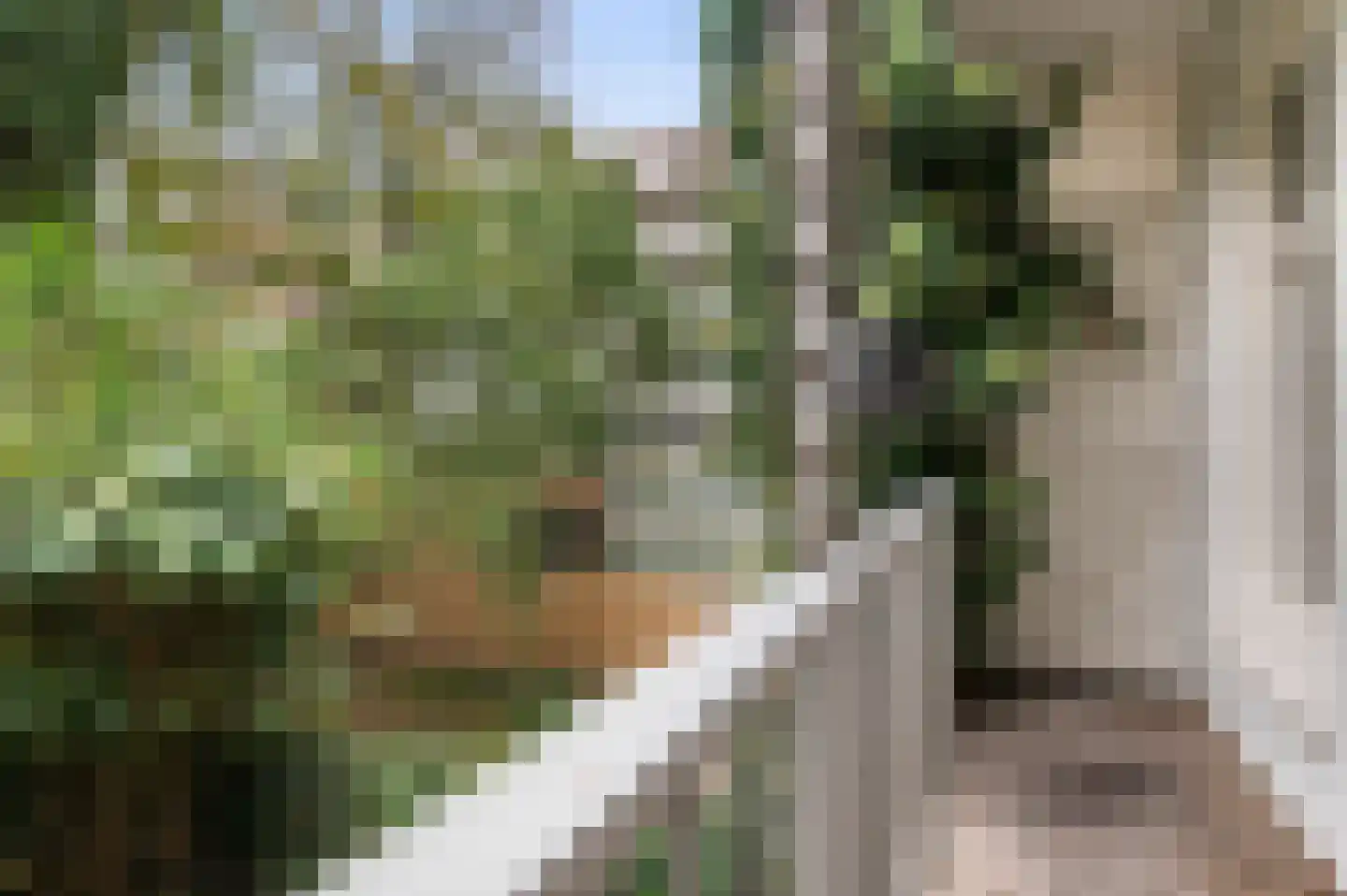 Eerste Jan van der Heijdenstraat 98 2 Amsterdam thumbnail 18