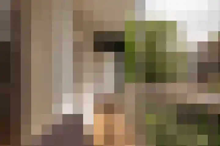 Eerste Jan van der Heijdenstraat 98 2 Amsterdam thumbnail 19