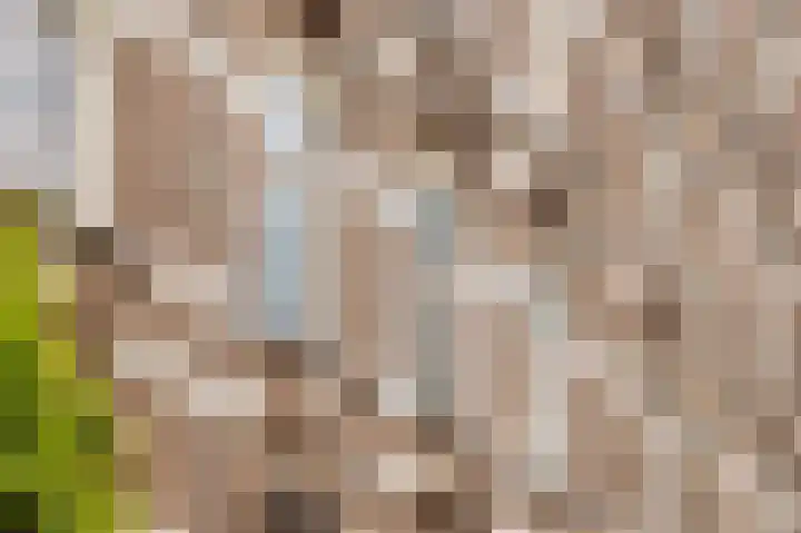 Eerste Jan van der Heijdenstraat 98 2 Amsterdam thumbnail 6