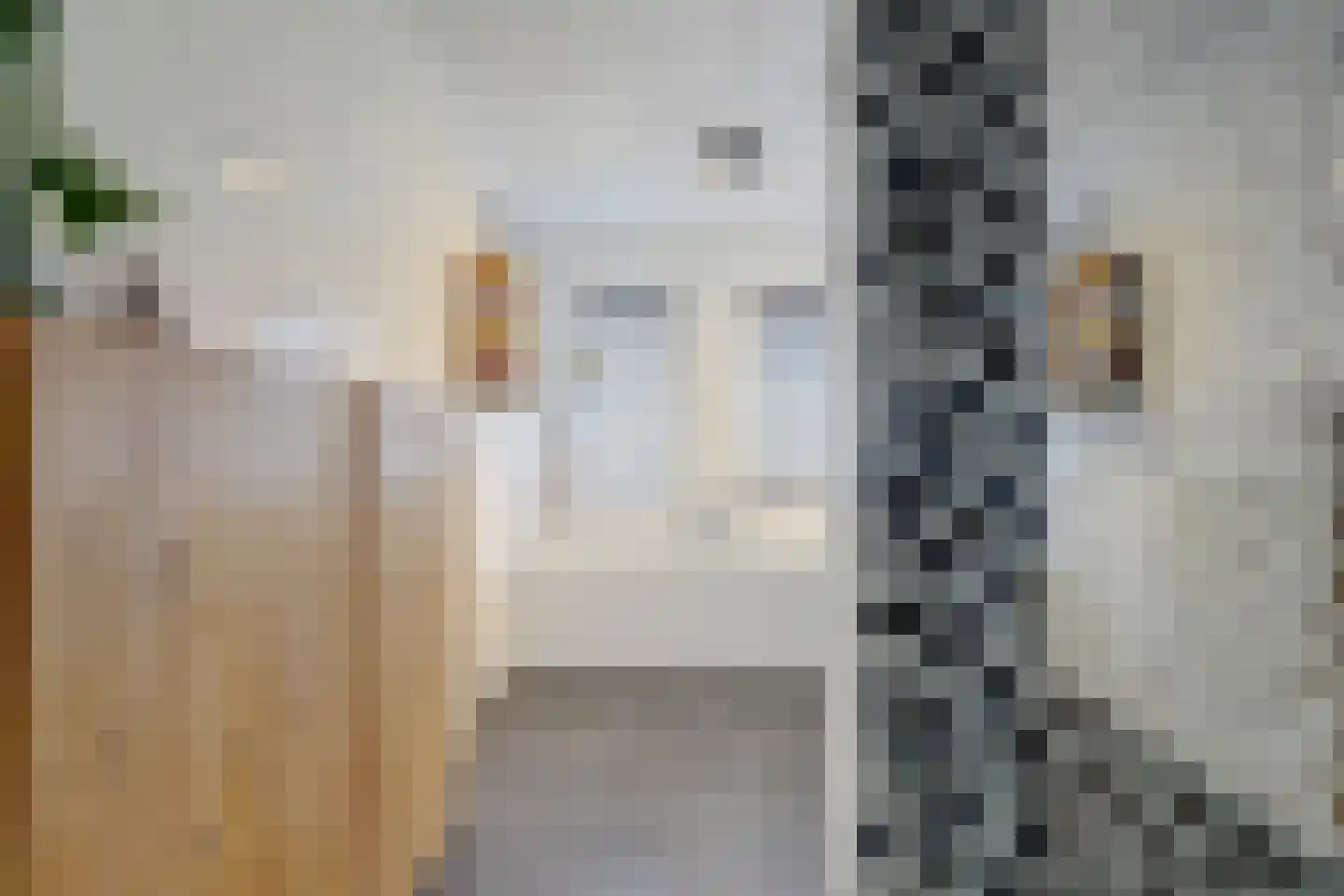Eerste kade 20 Gouda thumbnail 26