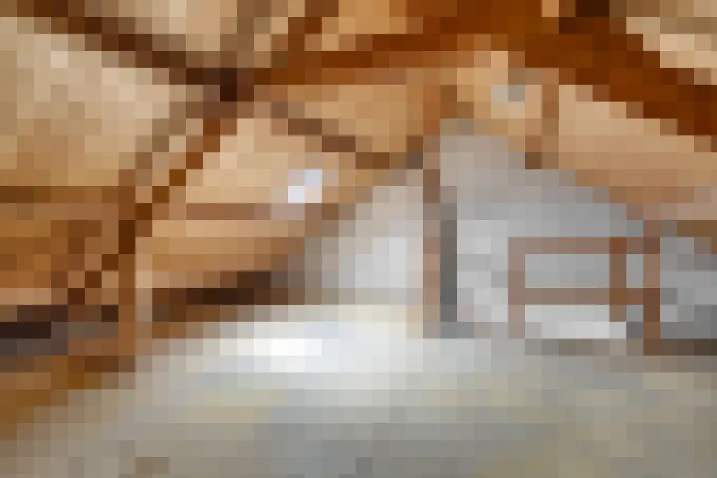 Eerste Kampsweg 16 Nijverdal thumbnail 19