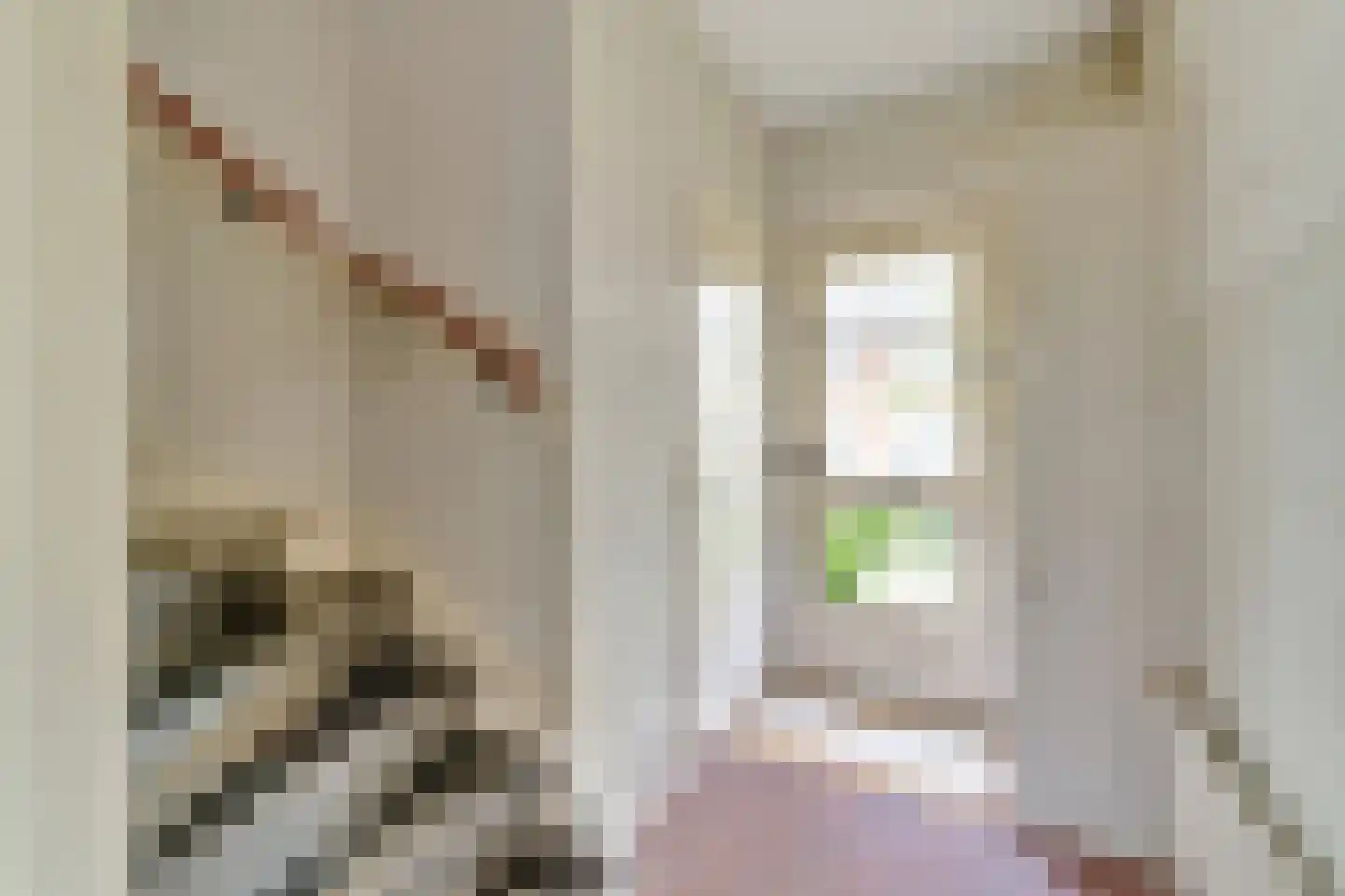 Eerste Kampsweg 16 Nijverdal thumbnail 9