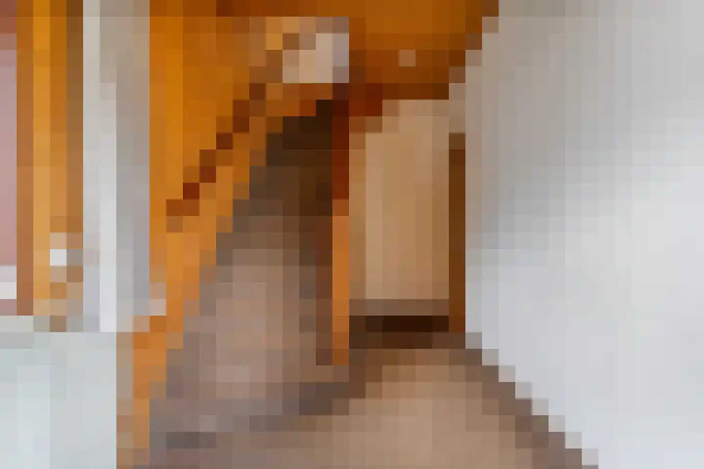 Eerste Kampsweg 24 Nijverdal thumbnail 17