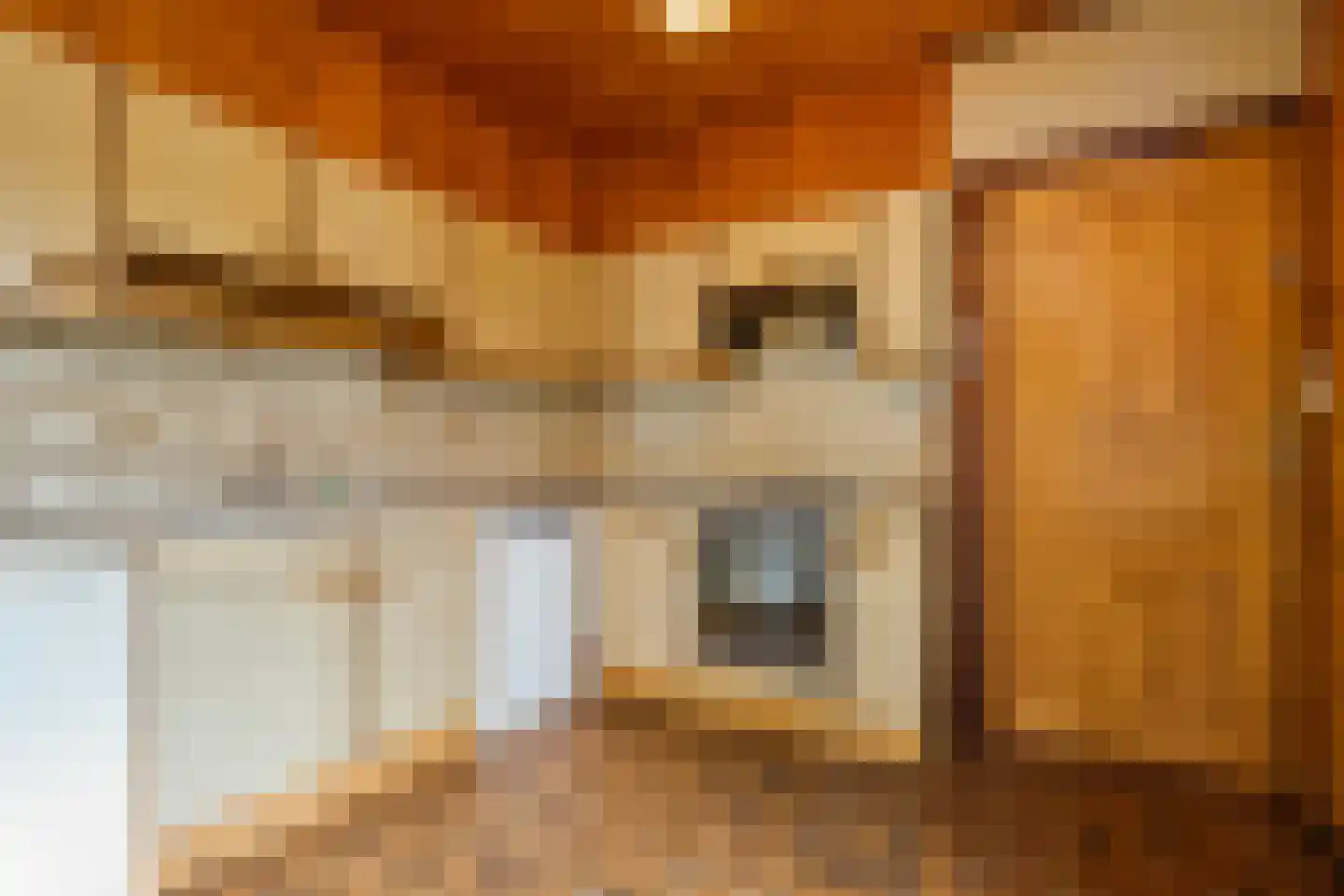 Eerste Kampsweg 24 Nijverdal thumbnail 25