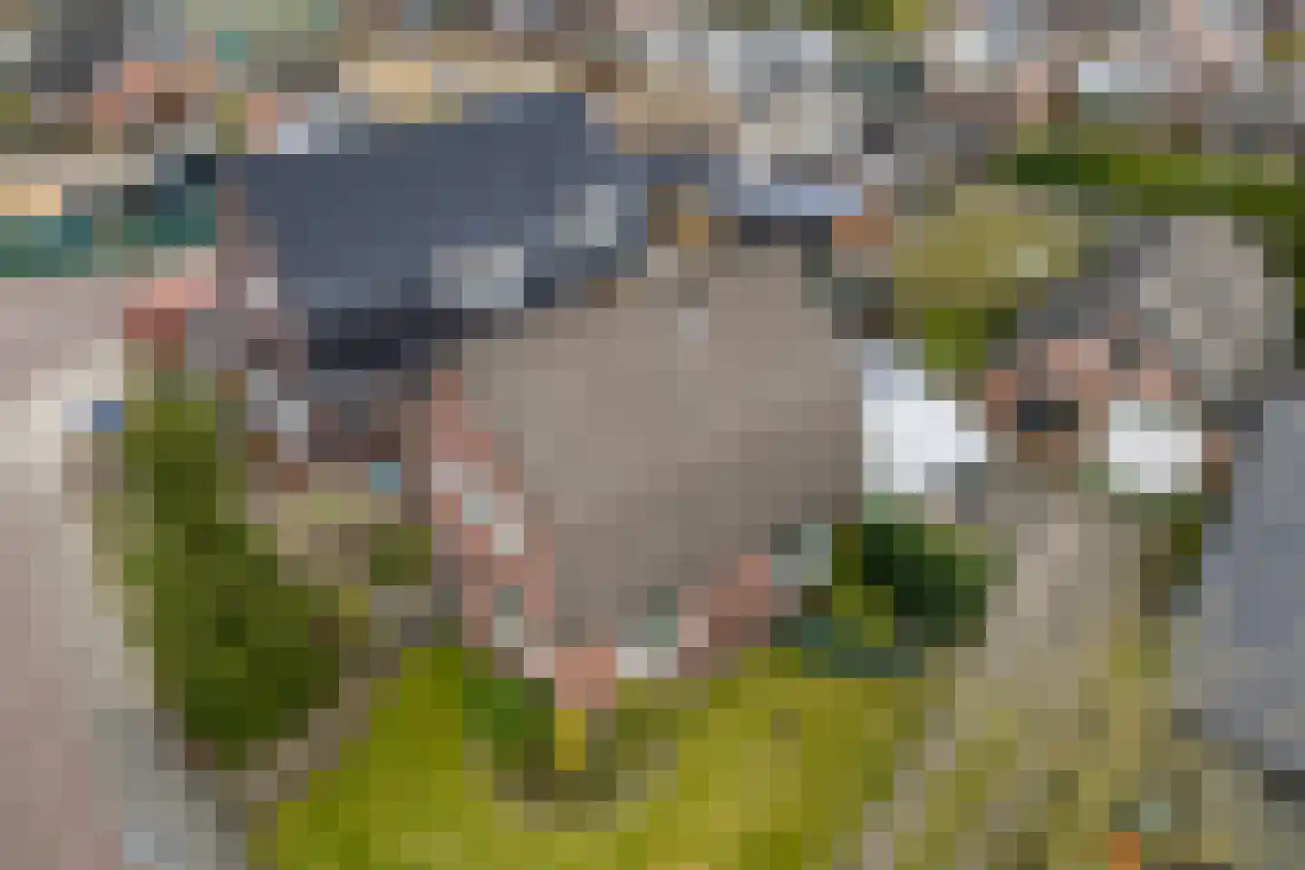 Eerste Kampsweg 24 Nijverdal foto 3
