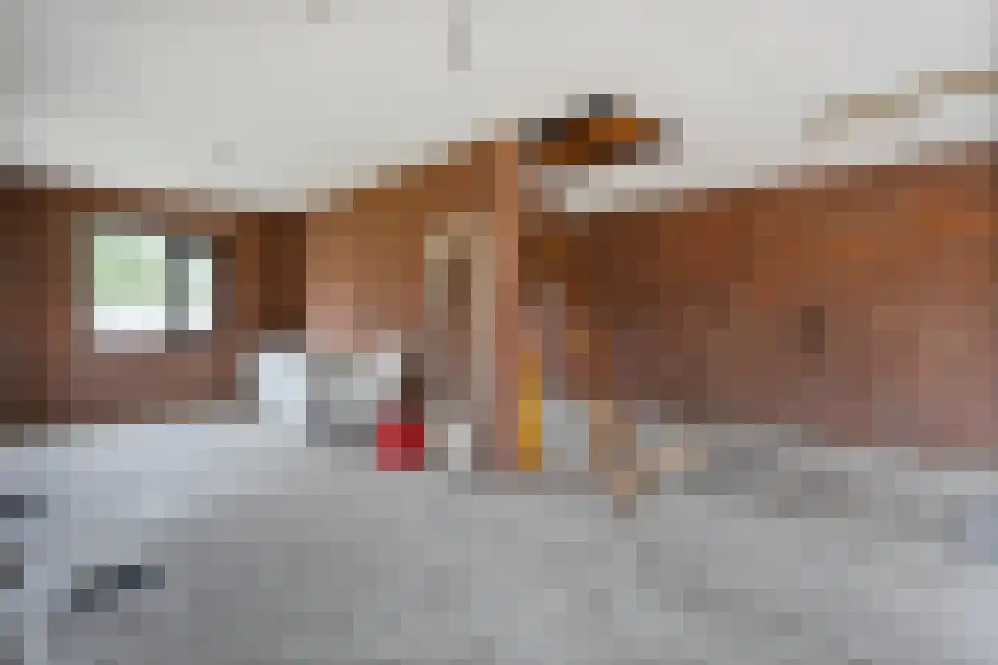 Eerste Kampsweg 24 Nijverdal thumbnail 44
