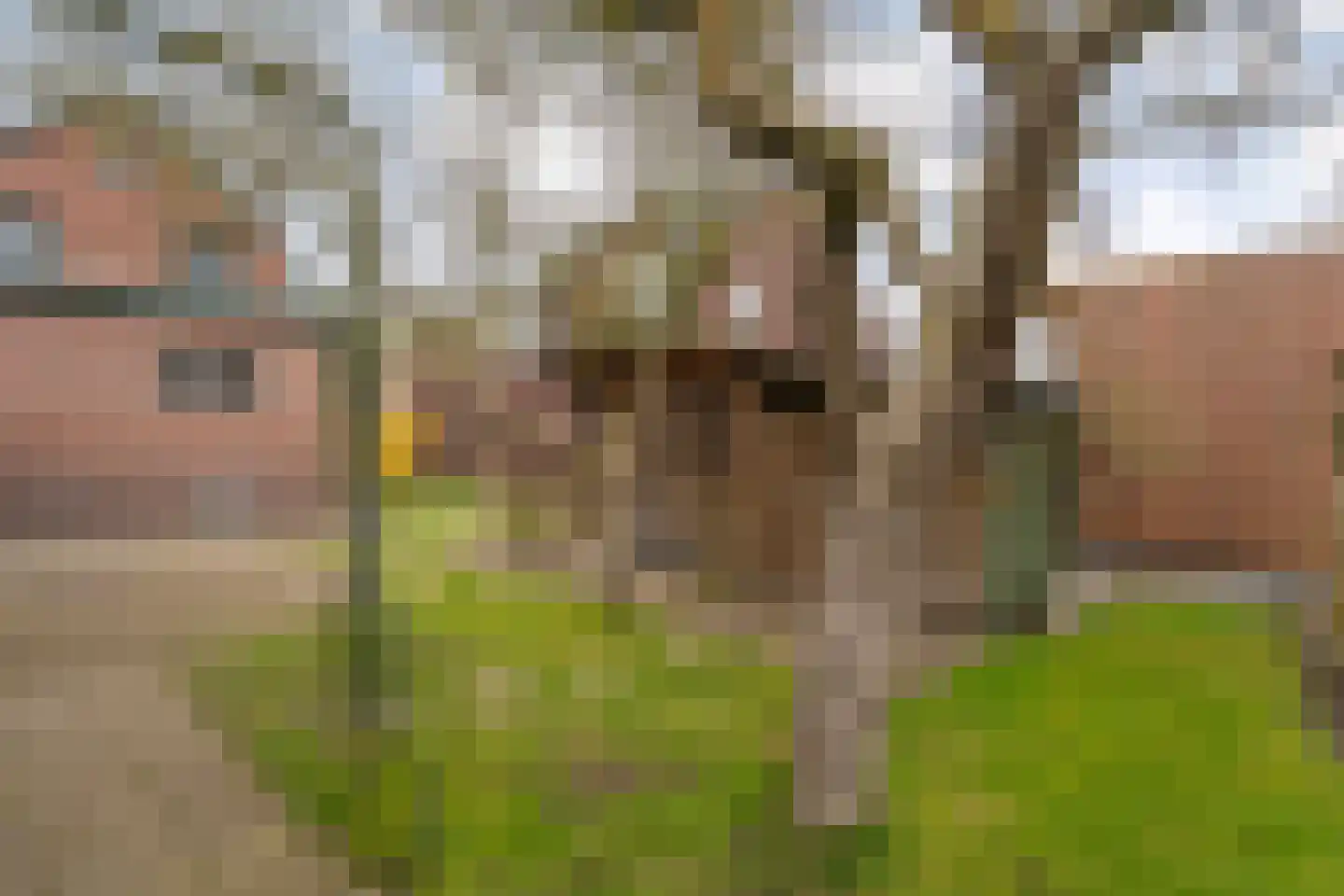 Eerste Kampsweg 24 Nijverdal thumbnail 49