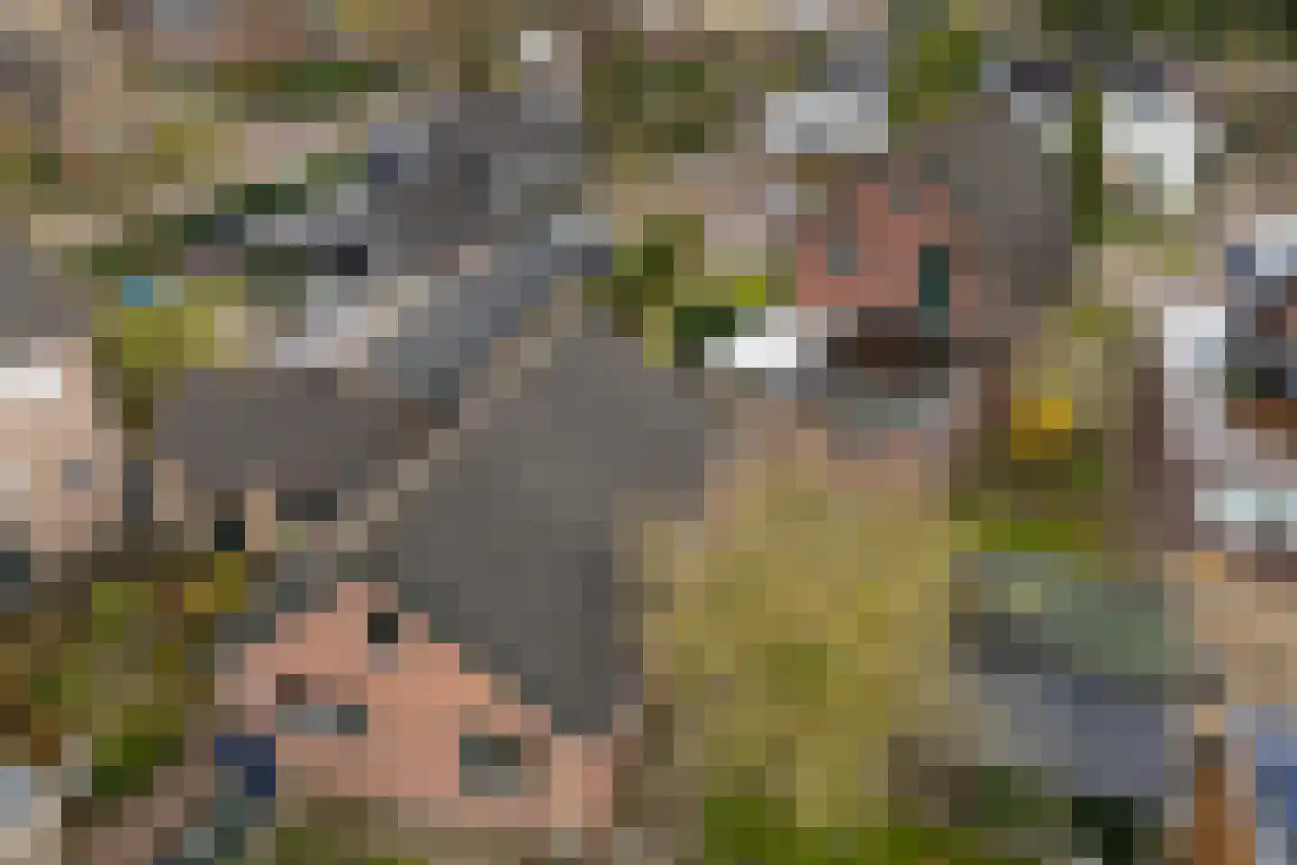 Eerste Kampsweg 24 Nijverdal thumbnail 8