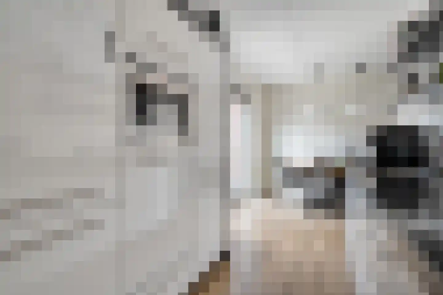 Eerste Kampsweg 7 Nijverdal thumbnail 19