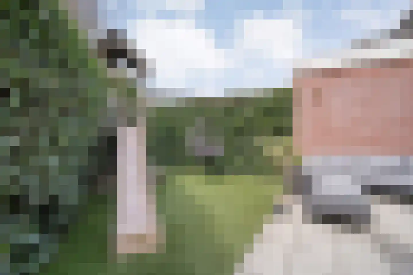 Eerste Kampsweg 7 Nijverdal thumbnail 37