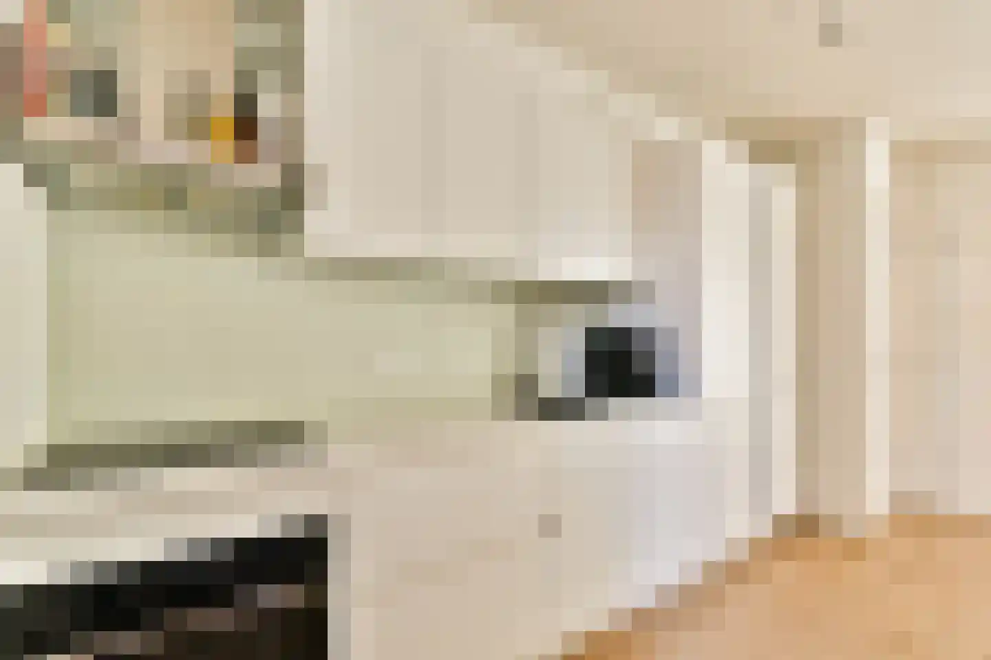Eerste Keucheniusstraat 10 1 Amsterdam thumbnail 14