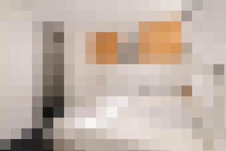 Eerste Keucheniusstraat 23 A Amsterdam thumbnail 19