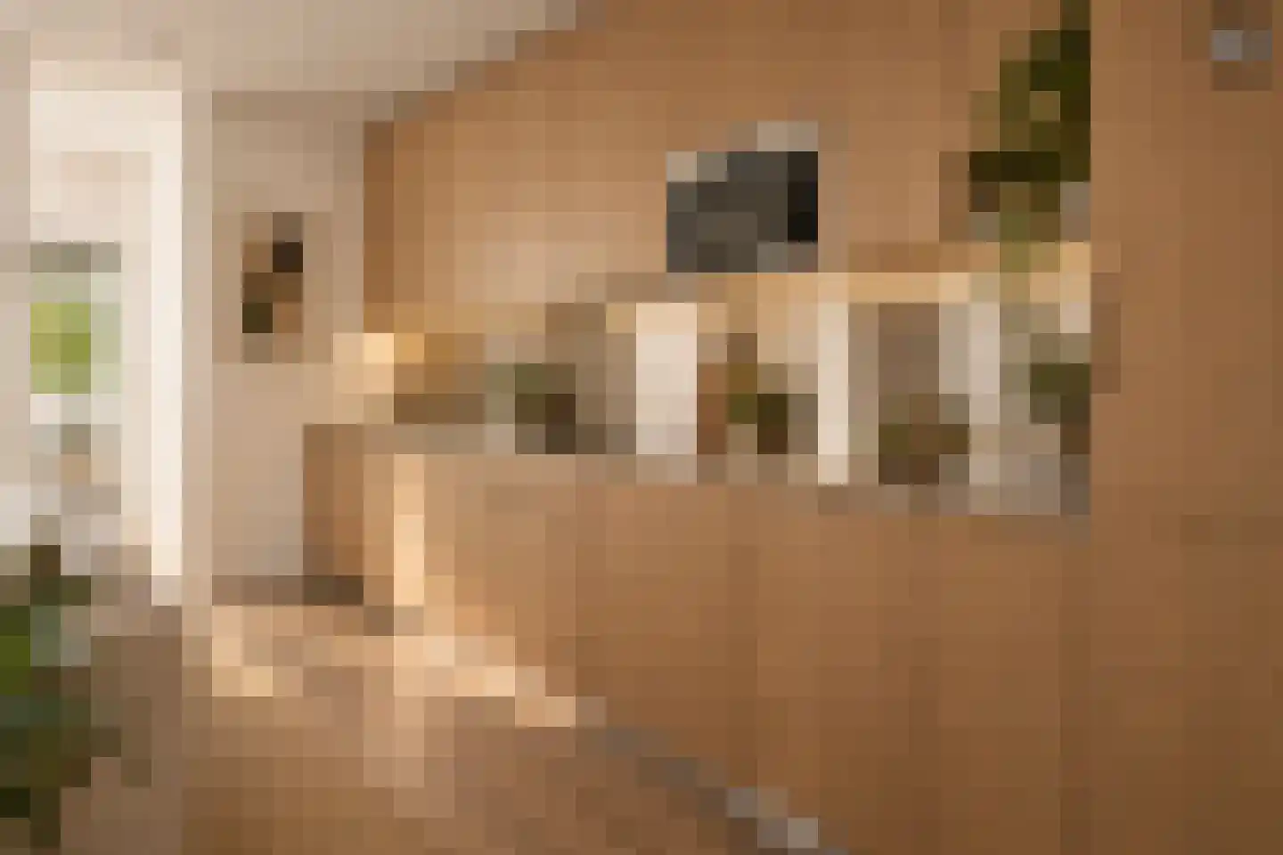 Eerste Keucheniusstraat 23 C Amsterdam thumbnail 11