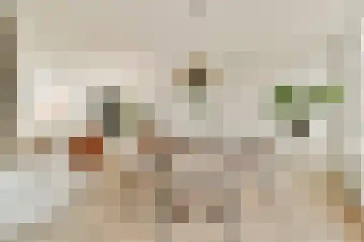 Eerste Keucheniusstraat 26 1 Amsterdam thumbnail 4