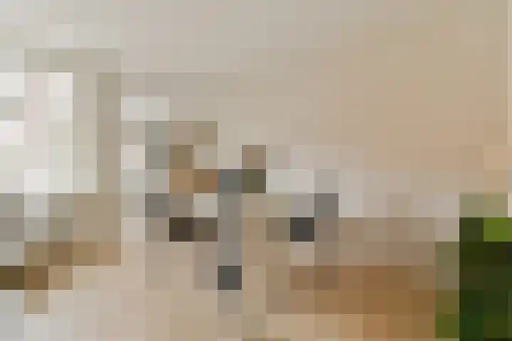 Eerste Keucheniusstraat 26 1 Amsterdam thumbnail 6