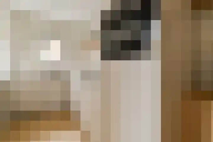 Eerste Keucheniusstraat 26 1 Amsterdam thumbnail 7