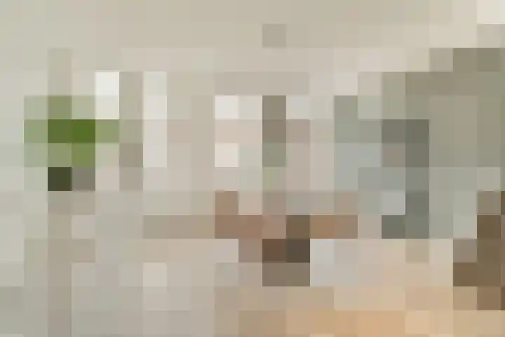 Eerste Keucheniusstraat 26 1 Amsterdam thumbnail 8