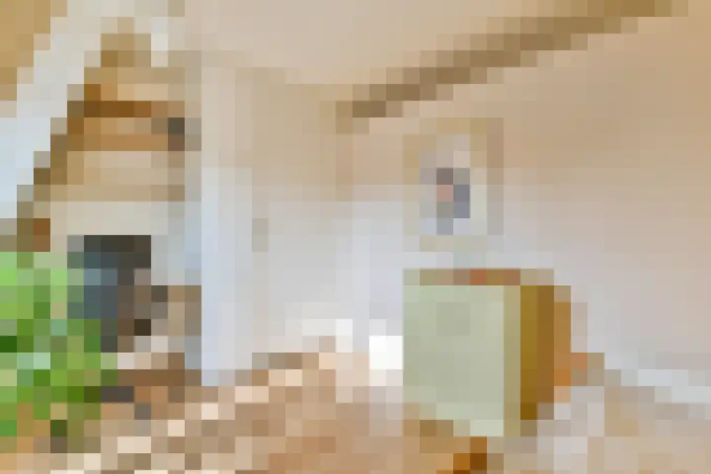 Eerste Keucheniusstraat 34 1 Amsterdam thumbnail 19