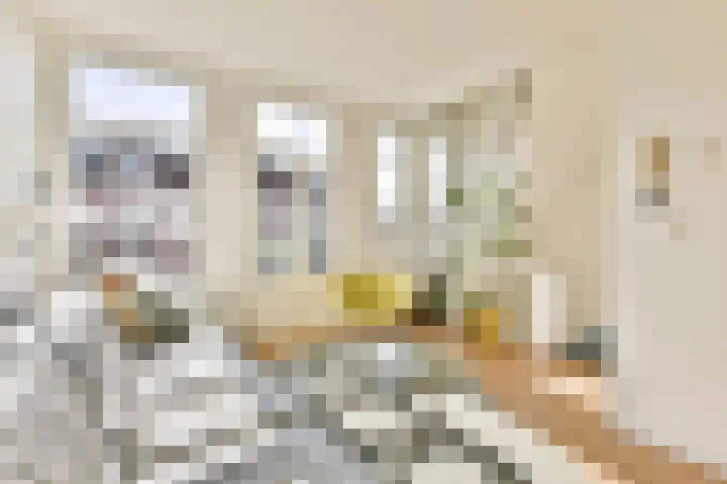 Eerste Keucheniusstraat 34 1 Amsterdam thumbnail 4