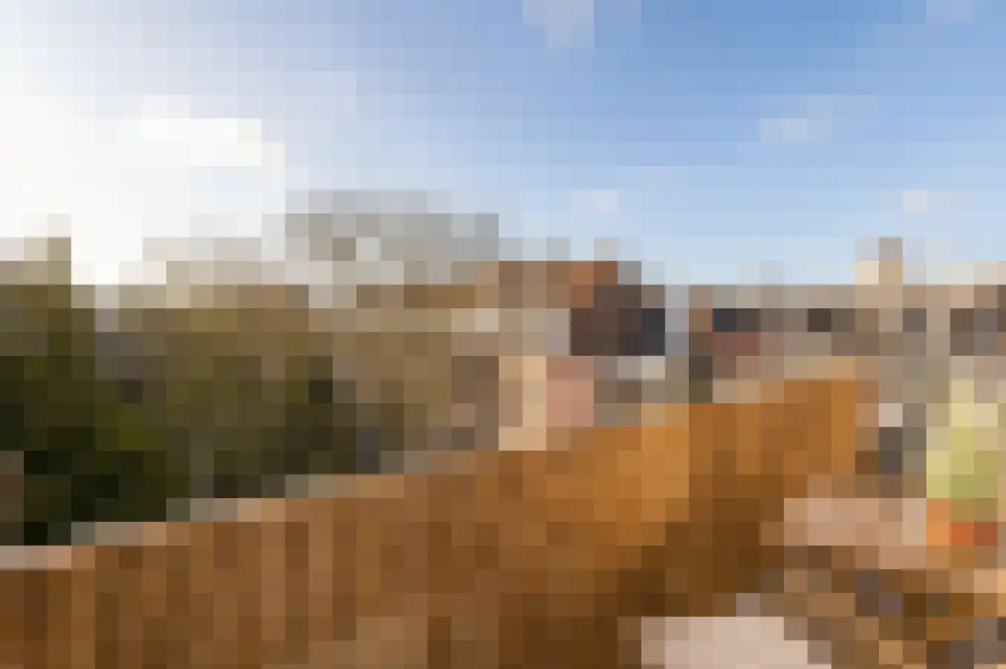 Eerste Keucheniusstraat 45 4 Amsterdam thumbnail 10