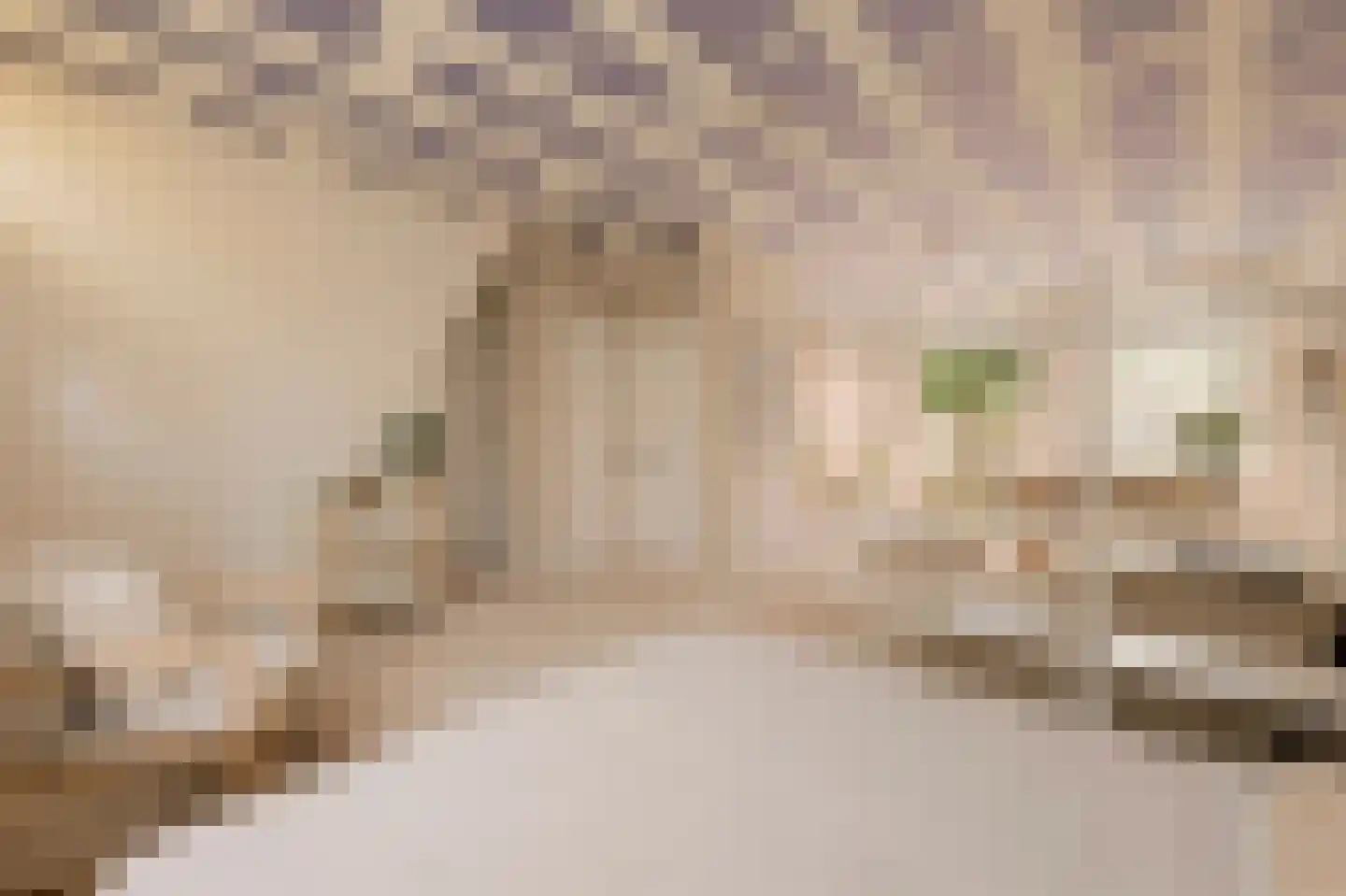 Eerste Keucheniusstraat 45 H Amsterdam thumbnail 10