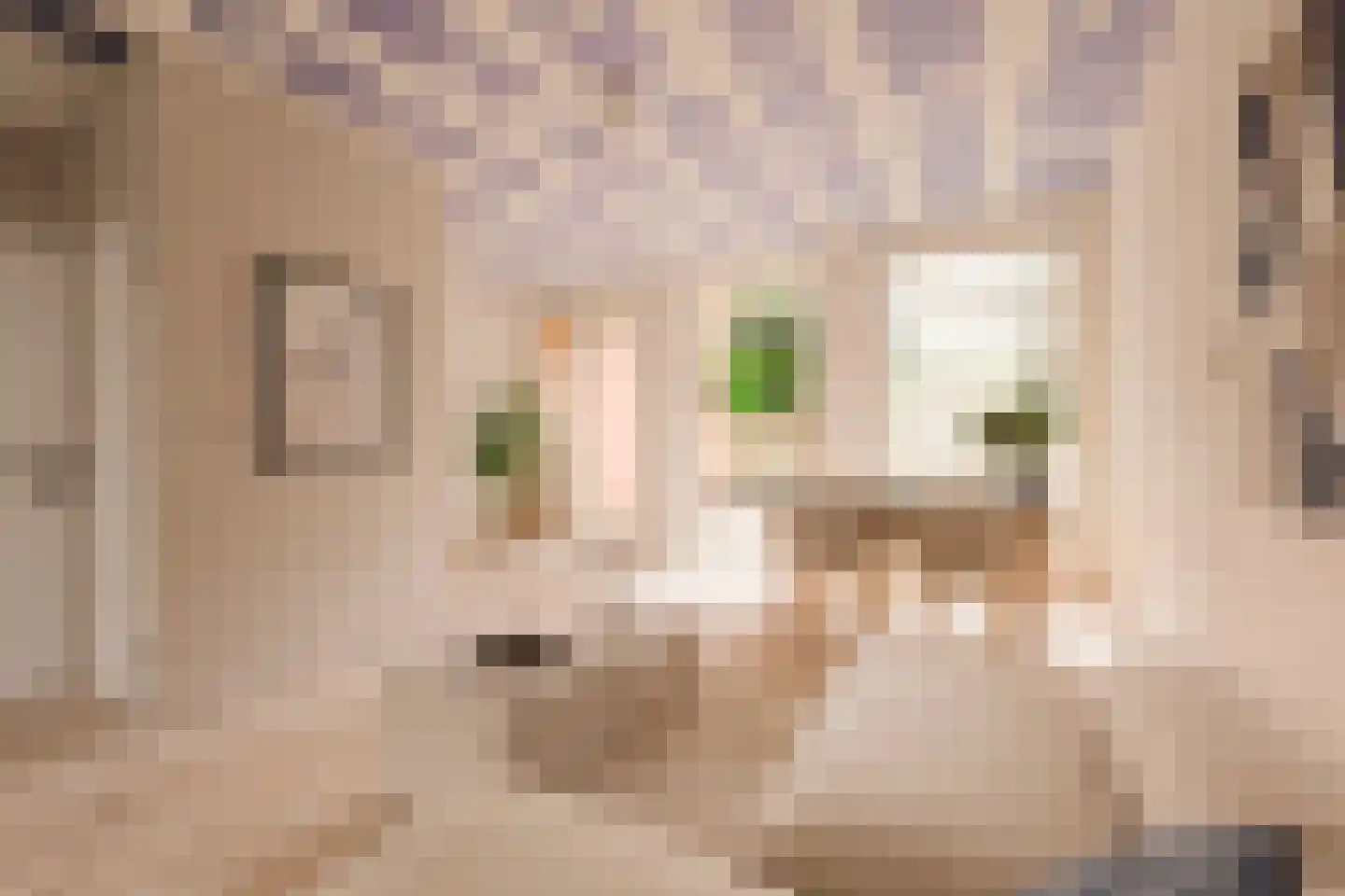 Eerste Keucheniusstraat 45 H Amsterdam thumbnail 11