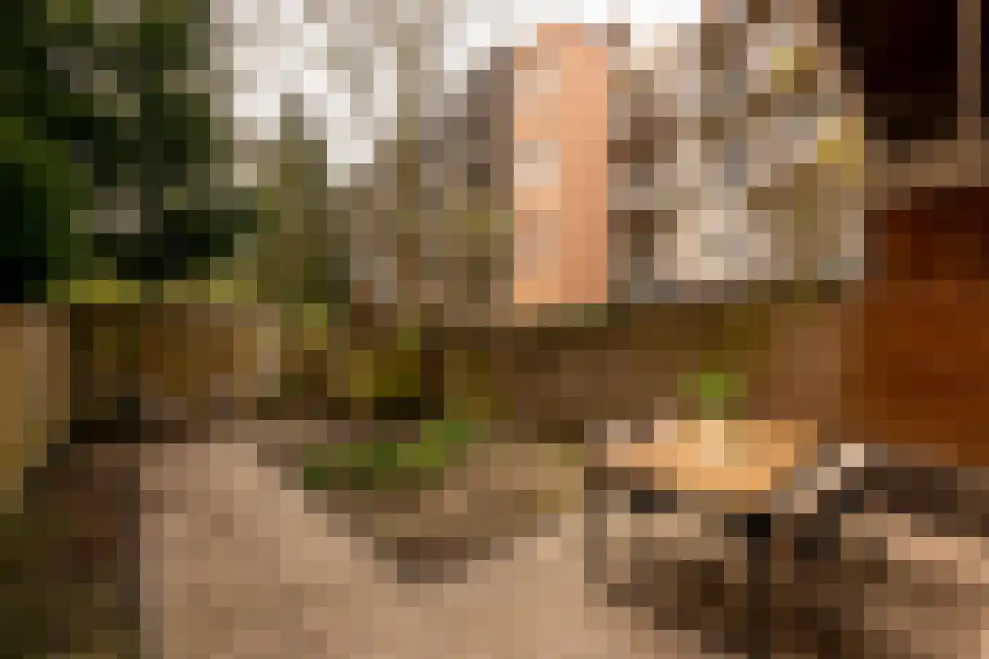 Eerste Keucheniusstraat 45 H Amsterdam thumbnail 13