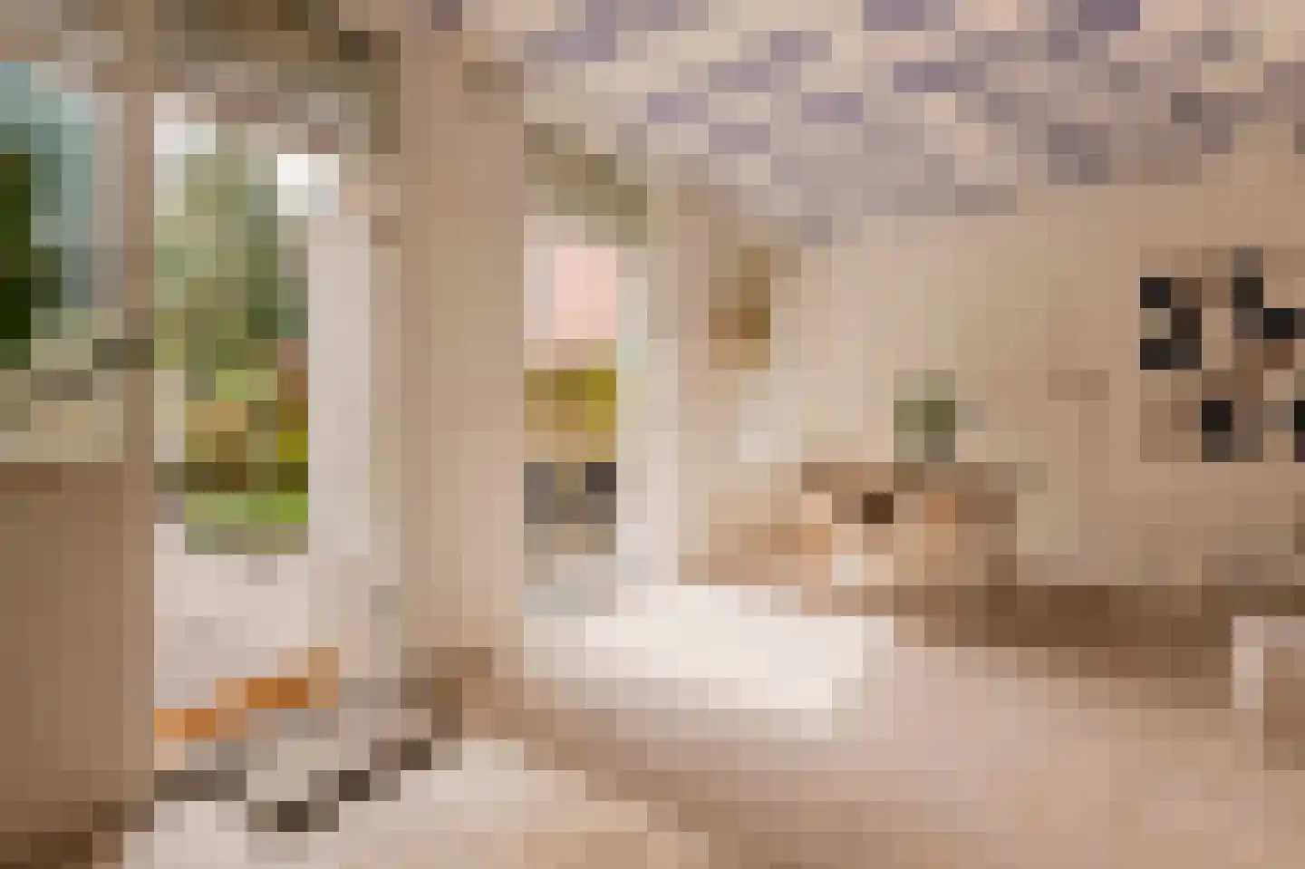 Eerste Keucheniusstraat 45 H Amsterdam thumbnail 17