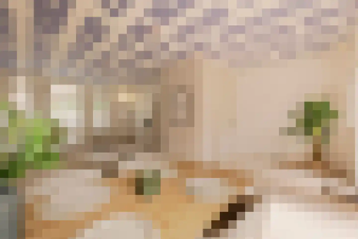 Eerste Keucheniusstraat 45 H Amsterdam thumbnail 21