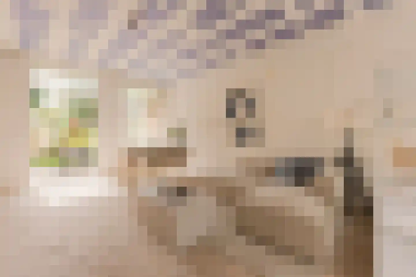Eerste Keucheniusstraat 45 H Amsterdam thumbnail 22