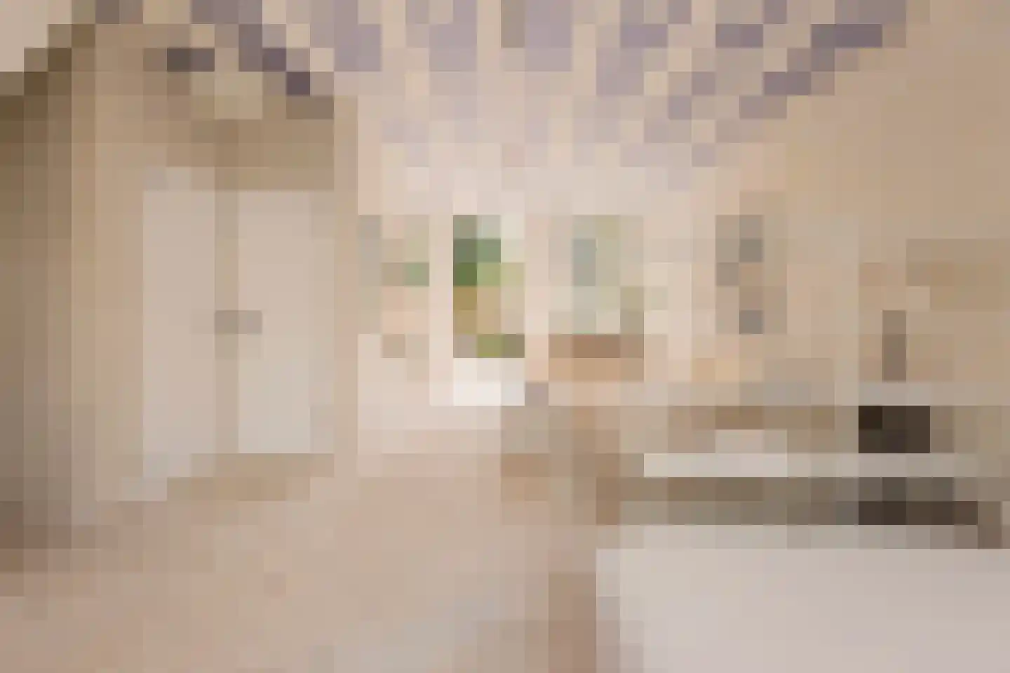 Eerste Keucheniusstraat 45 H Amsterdam thumbnail 8