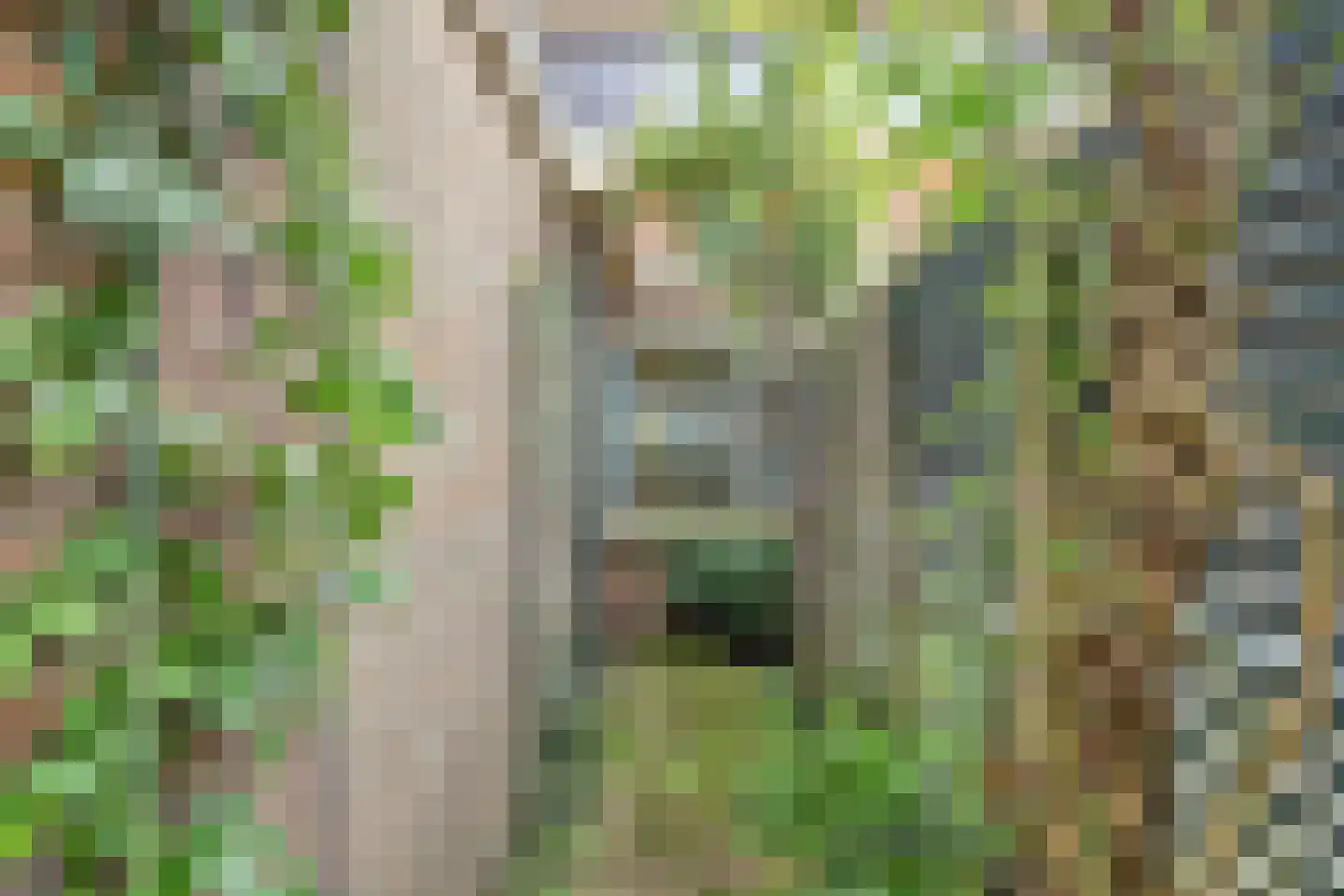 Eerste Kooistraat 1 Spijkenisse thumbnail 15