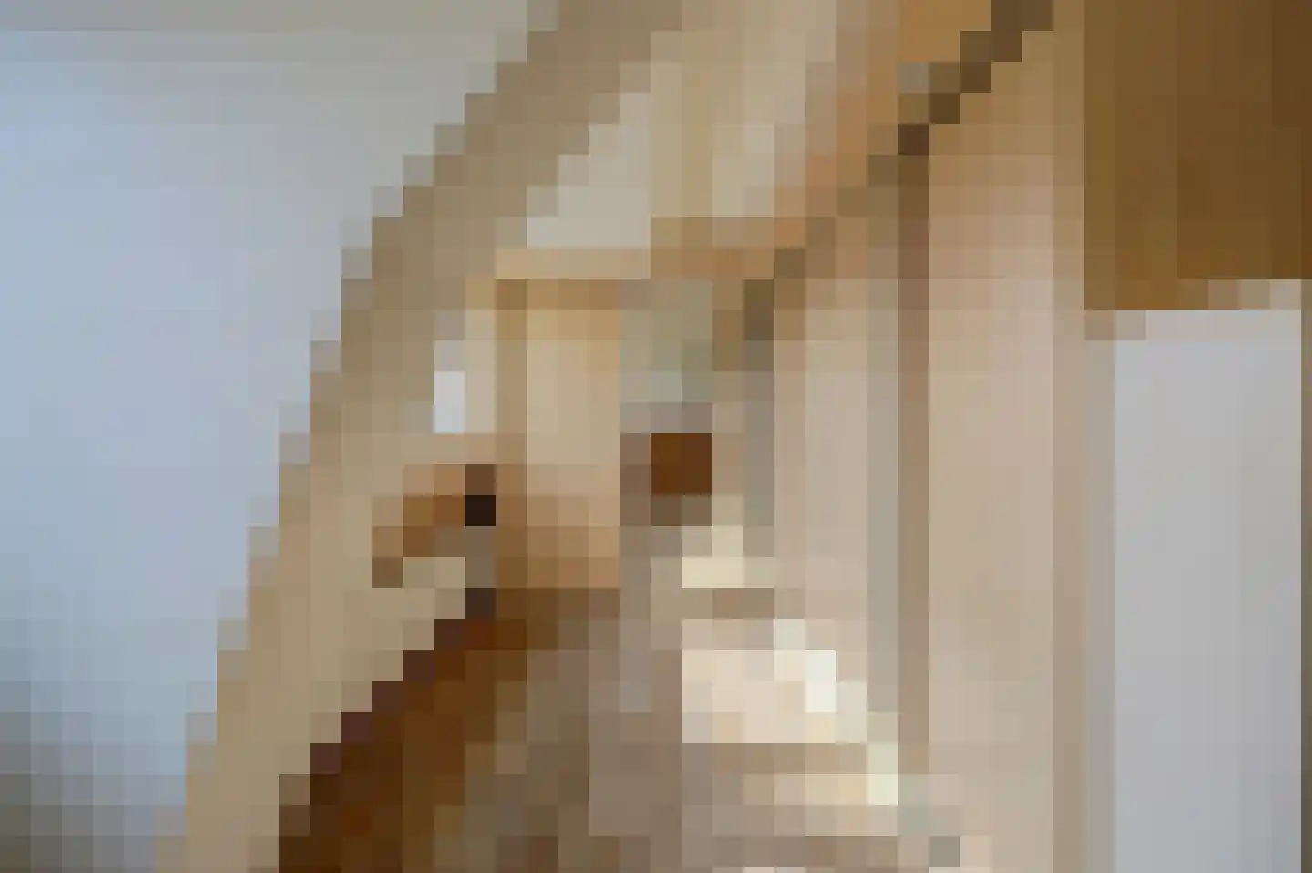 Eerste Kooistraat 1 Spijkenisse thumbnail 20