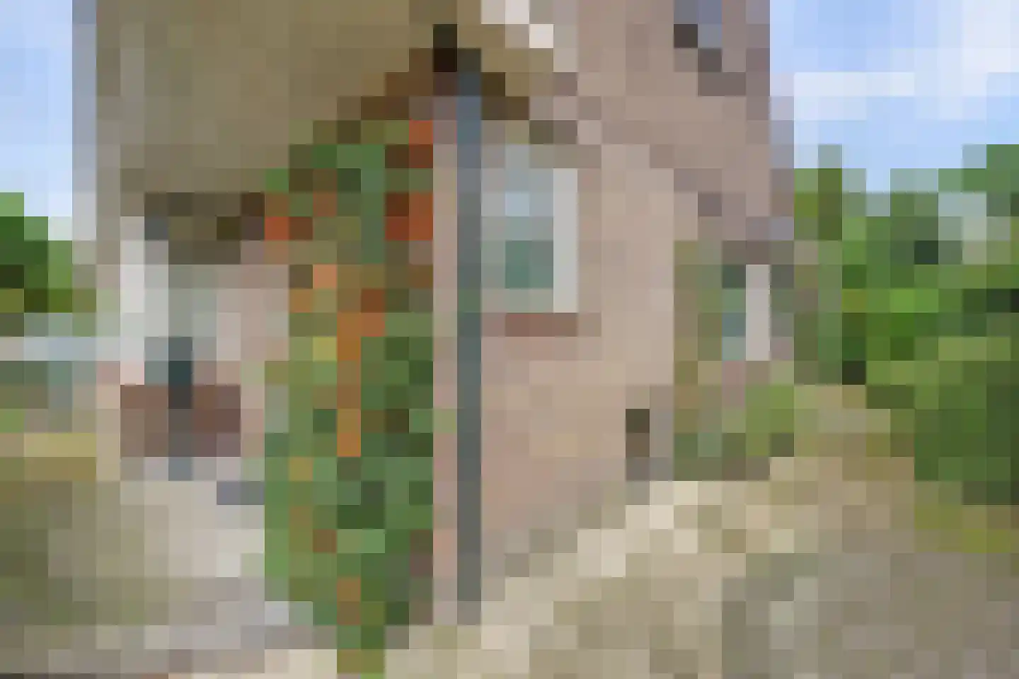 Eerste Kooistraat 1 Spijkenisse thumbnail 29