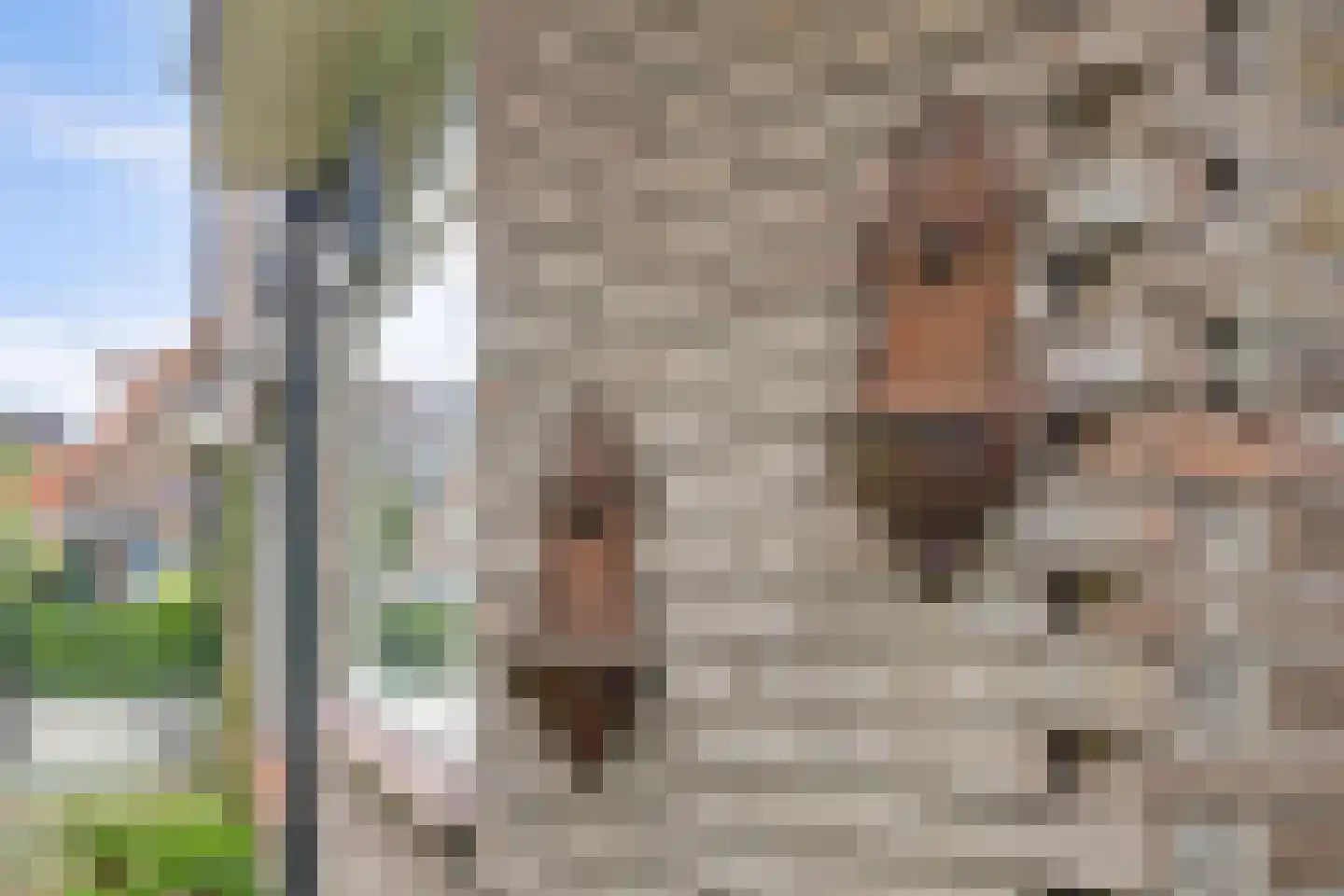Eerste Kooistraat 1 Spijkenisse thumbnail 30