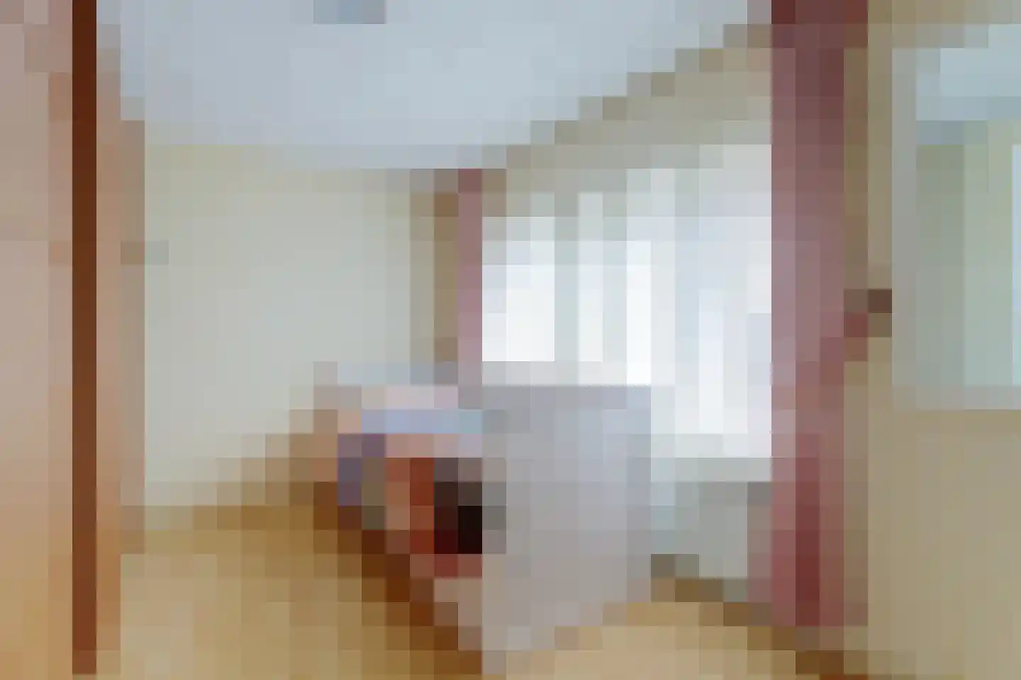 Eerste Koppelveenweg 13 Emmer-Compascuum thumbnail 15