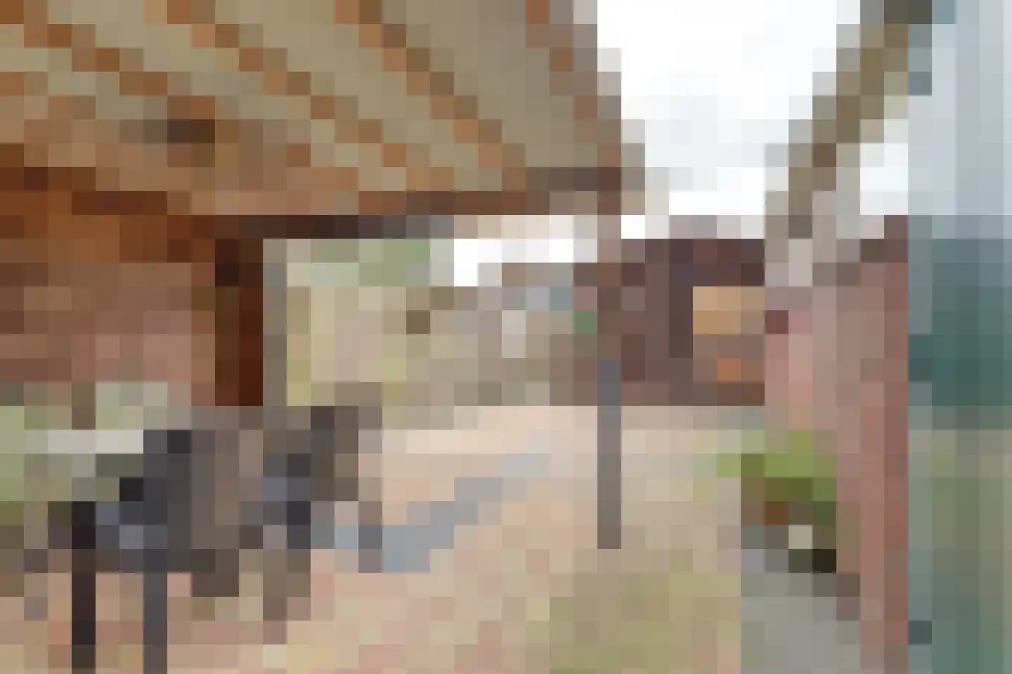 Eerste Koppelveenweg 13 Emmer-Compascuum thumbnail 22