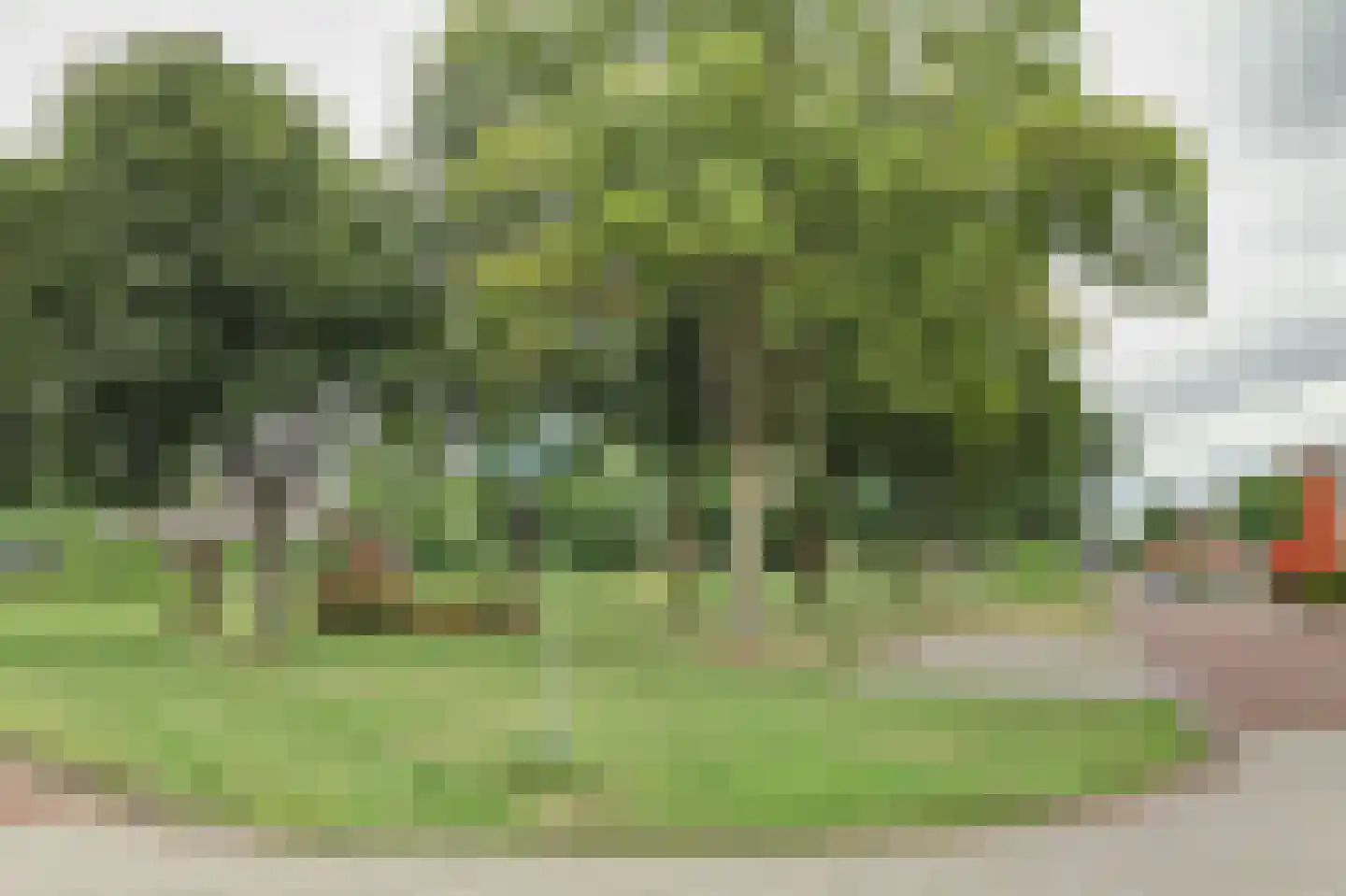 Eerste Koppelveenweg 13 Emmer-Compascuum thumbnail 28