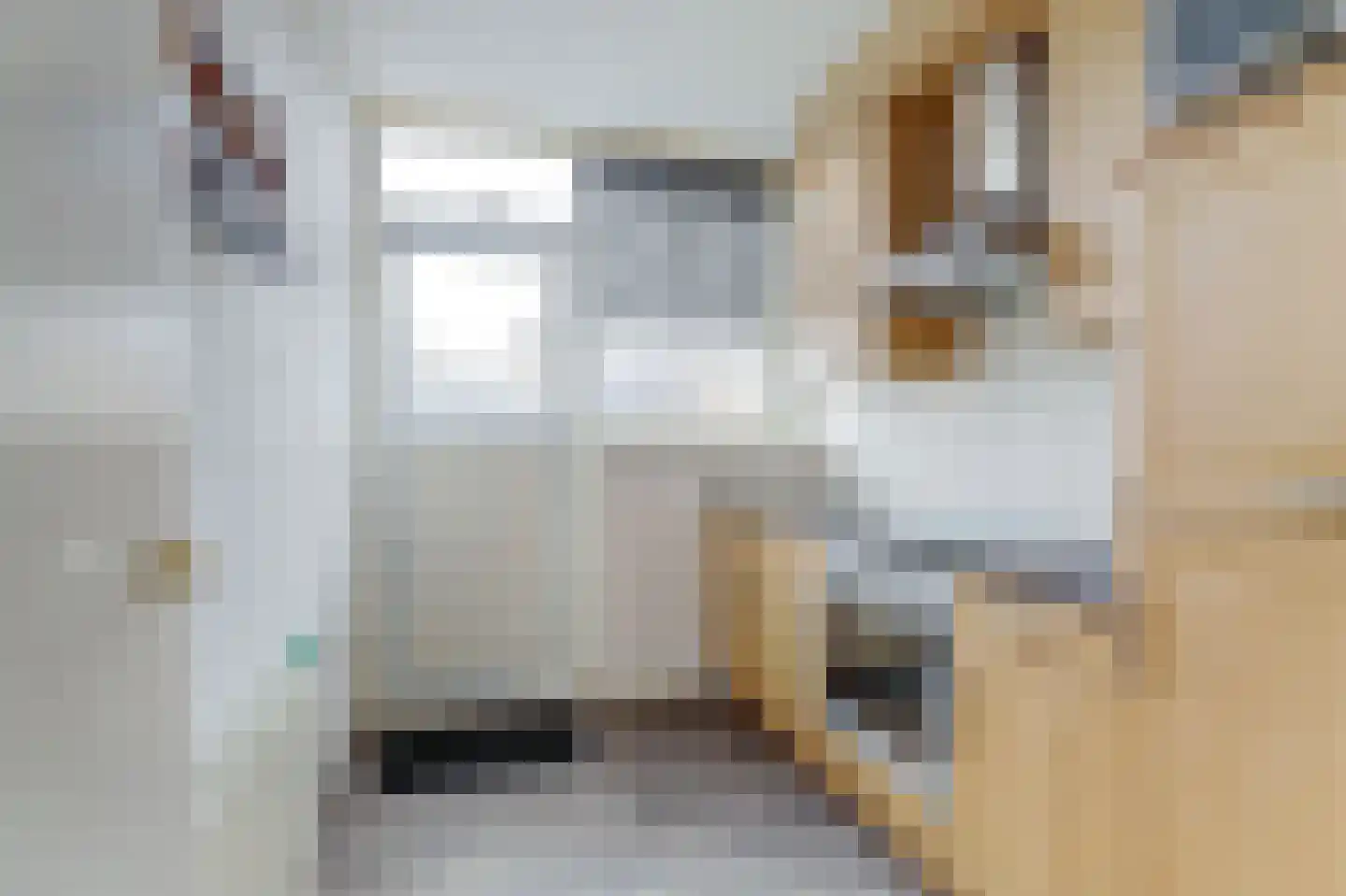 Eerste Koppelveenweg 13 Emmer-Compascuum thumbnail 8