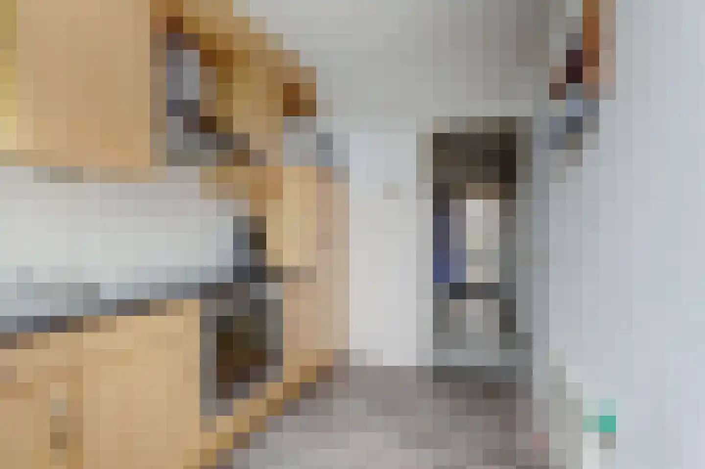 Eerste Koppelveenweg 13 Emmer-Compascuum thumbnail 9