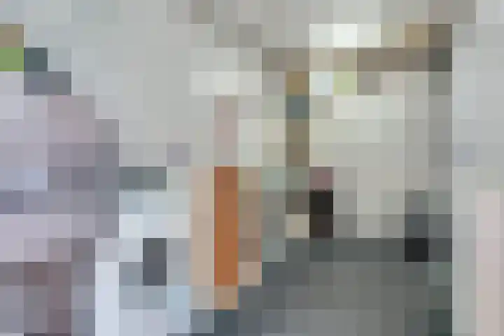 Eerste Koppelveenweg 30 Emmer-Compascuum thumbnail 10